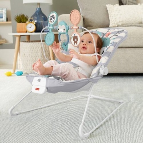 Fisher-Price Baby Bouncer