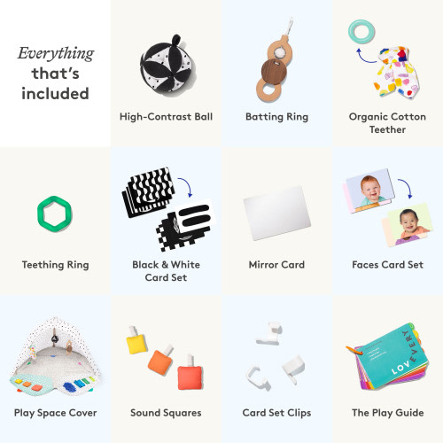 The Play Gym