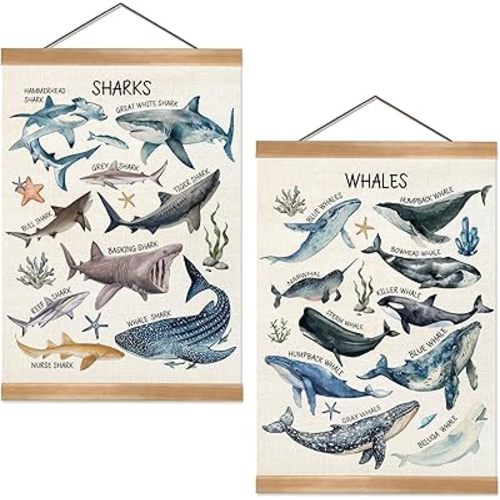 ZTGDA Sharks and Whales Posters, Sea Animals Shark Posters Wall Art,Marine Sharks Decor,Ocean Educational Poster for Kid Classroom Decorations Kids Room Home Nursery Playroom, Set of 2(Shark -1)