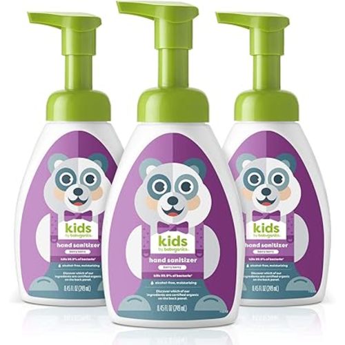 Babyganics Foaming Pump Hand Sanitizer, Alcohol Free, Berry Berry, Kills 99.9% of Common Bacteria, Moisturizing, 8.45 Fl Oz (Pack of 3)