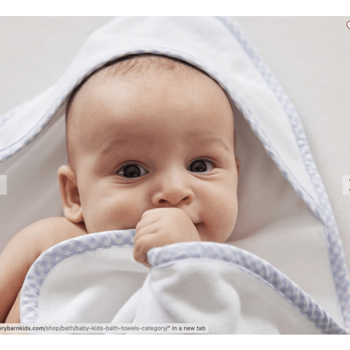 Gingham Baby Hooded Towels & Washcloths| Pottery Barn Kids