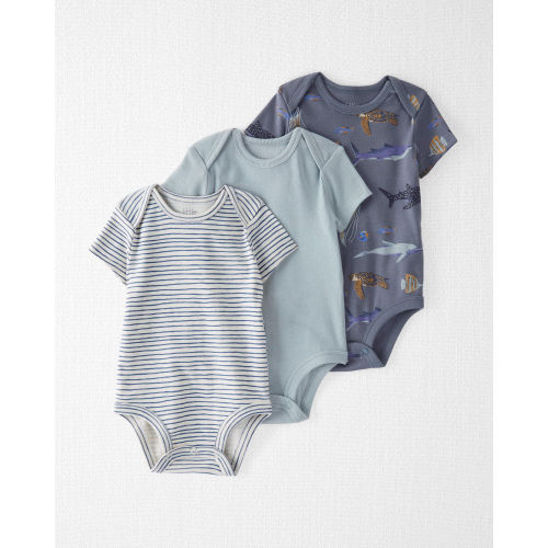 Baby 3-Pack Organic Cotton Rib Bodysuits, 12mos