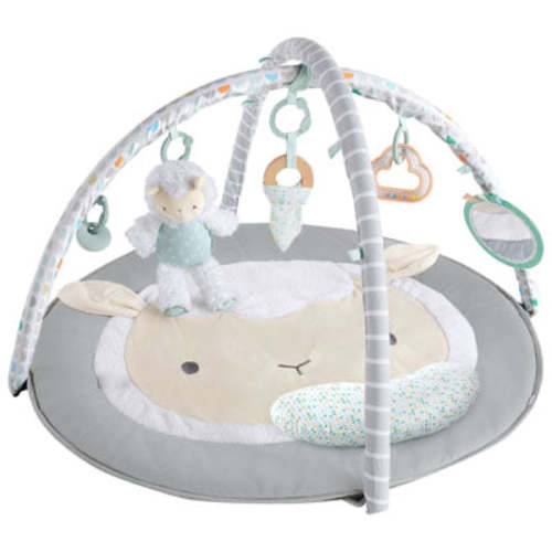 Ingenuity Plush Activity Gym - Corrie