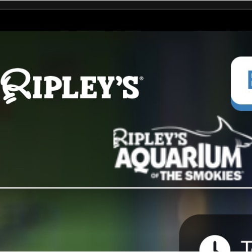 Ripley’s Aquarium of the Smokies | Top things to do Gatlinburg, TN | Tickets, hours, events