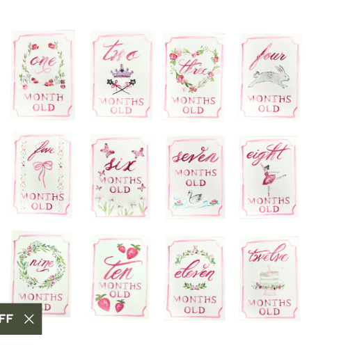 Monthly Milestone Card Set - Pink | Danrie