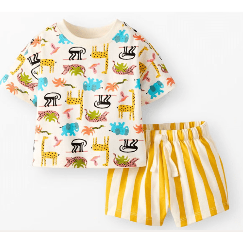 Baby Relaxed Fit T-Shirt & Shorts Set