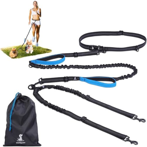 Hands Free Dual Dog Leash, Small (Blue)