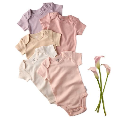 Butterblu AVERY 5-Pack Short Sleeve Bodysuits Sorbet Newborn