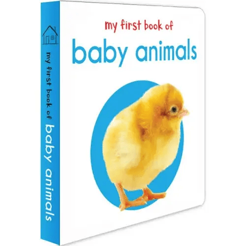 My First Learning Library: 20 Book Box Set [Book] | Google Shopping