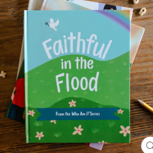 Faithful in the Flood | Children's Book – The Daily Grace Co.