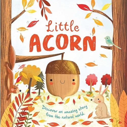 Nature Stories: Little Acorn-Discover an Amazing Story from the Natural World: Padded Board Book Board book – May 23, 2023