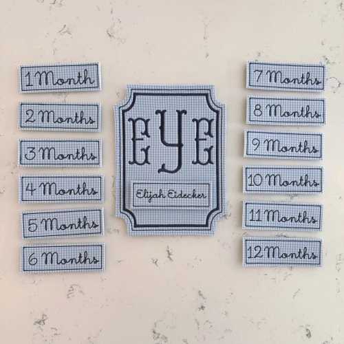 Blue Gingham Embroidered Baby Milestone Cards, Monogram Milestone Cards, Baby Shower Gift, Baby Nursery Decor
