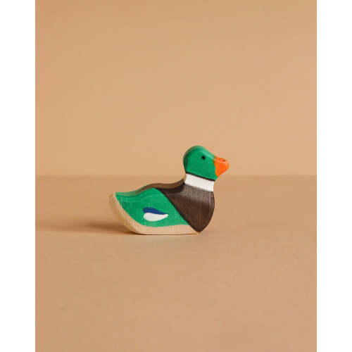 Holztiger Mallard Duck, Sitting