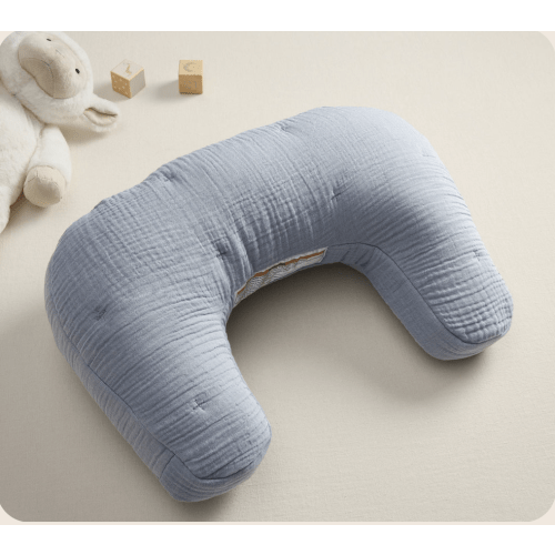 PBK Exclusive Nursing Pillow Covers – Boppy