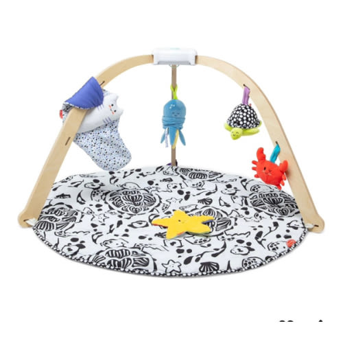 Melissa & Doug Ocean Easy-Fold Wooden Play Gym for Infants, Reversible Mat, 5 Soft Toys, Birth to 9 Months - FSC-Certified