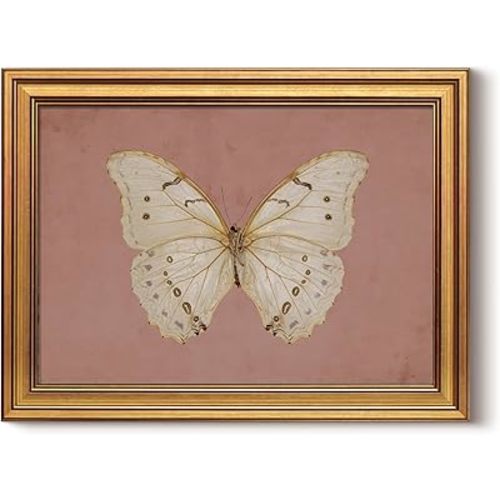 InSimSea Gold Framed Canvas Prints Wall Art, Vintage Bathroom Decor, Classical Moody White Butterfly Paintings Farmhouse Wall Decor Aesthetic, Retro Pictures for Bedroom Living Room Shelf, 12x16inch