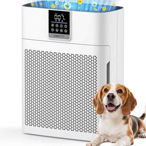 Air Purifiers for Home Large Room up to 2180 Sq Ft, DBFIT HEPA Air Purifier with Washable Nylon Pre-Filter, PM2.5 Air Quality Sensor, Air Cleaner for Pet Hair, Odor, Smoke, Dust, Pollen AP2410