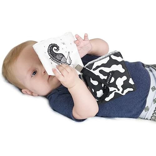 Wee Gallery Ocean Animals Crinkle Pages Stroller Toy, Sensory Hanging Crinkle Toy with Mirror for Babies, High Contrast Animal Art and Montessori Baby Item for Walks, Car Seat, Play Gym and Tummy Time