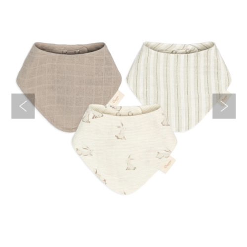 Avery  3-pc. Organic Cotton Baby Bib Set (Bunny)