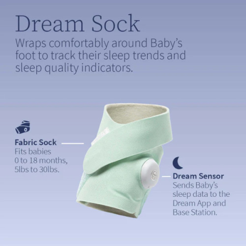 Dream Sock® – Owlet US