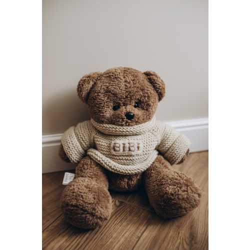 Personalized Sweater Teddy Bear | Custom Name Plush | Soft Gift for Kids
