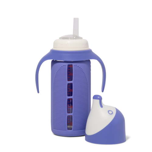 Tabor Place Glass Sippy Cup for Toddlers - The Luca