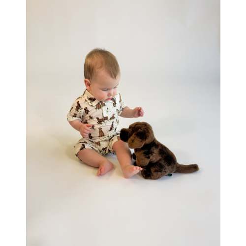 SS Polo Romper - Labradors – Goosies