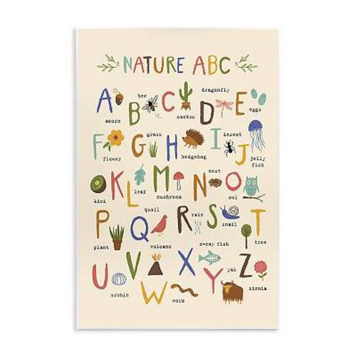 Stupell Home Decor Nature ABC Adorable Animal Plaque Wall Art