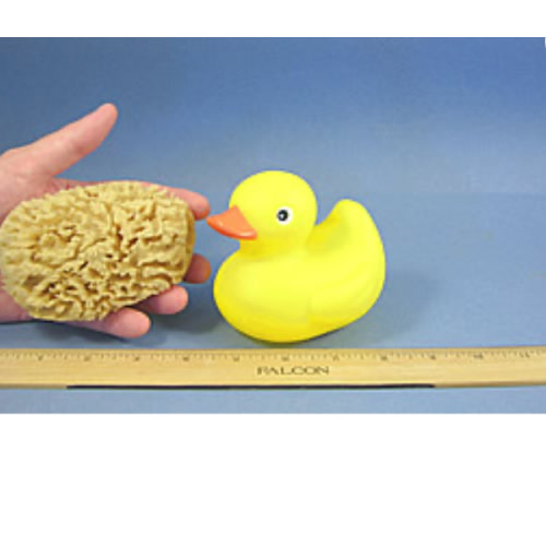 Premium Wool Sea Sponges for Babies - Natural Bath & Body Shop