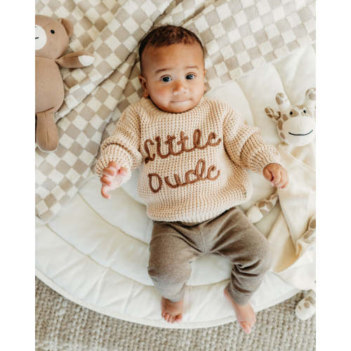 Little Dude Embroidered & Stripe Sweater Knit Baby Pullover (Organic)