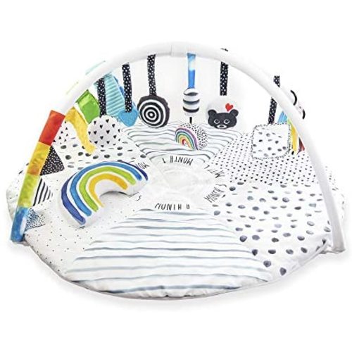 Sassy Stages Developmental Play Gym | Ages 0+ Through Toddler | Tummy Time Activity Play Mat w/ Built-in Instructions | Ultra Plush & Machine Washable Playmat - Tummy Time Milestone Activity Playmat