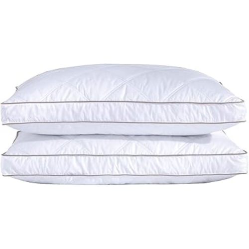 puredown® Goose Feathers Down Pillows, Gusseted, Standard Set of 2