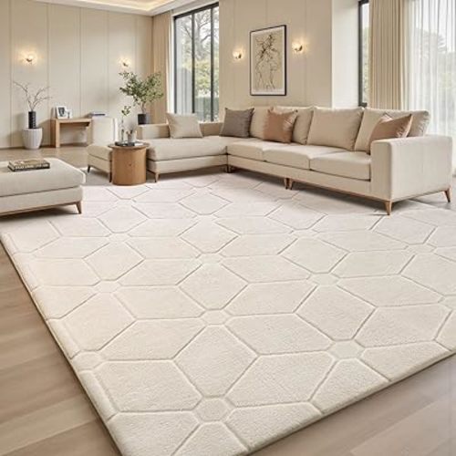 Sour Lemon 6x9 Area Rugs for Living Room Bedroom, Large Carpet White Rug