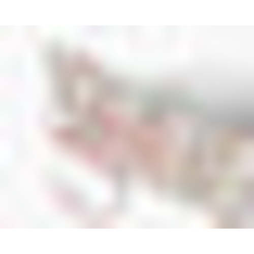 Folio Paper Wrapped Picture Frame - Ditsy Dahlia – Rifle Paper Co