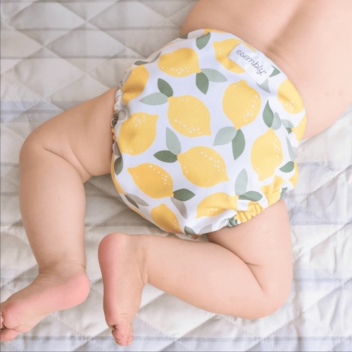 Organic Cloth Diaper Bundle Starter – Esembly