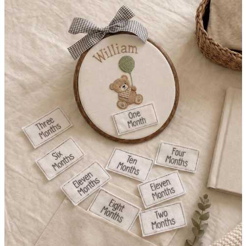 Embroidered Baby Monthly Milestone Teddy Hoop, Personalised Newborn Photo Prop Gifts, Birth Announcement, Nursery Wall Hanging,New Mum Gifts