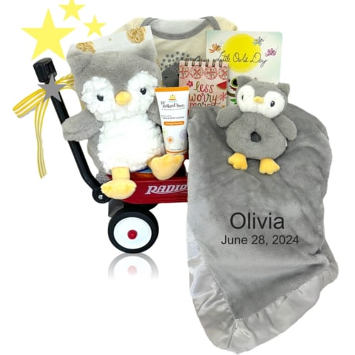 Whoo's That Baby Wagon