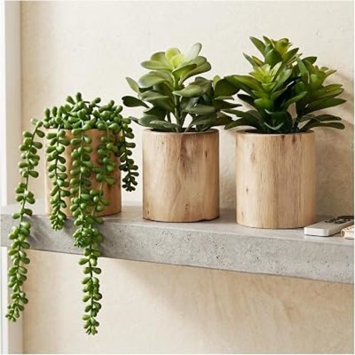 Artificial Succulents Plastic Artificial Green Plant for Office, Home Decor (Set of 3 Succlents in Wooden pots)