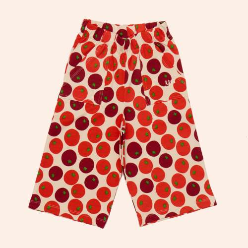 Sauz Bolinas Pants – Young Days