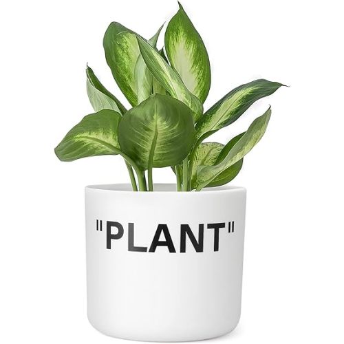 TwoDays Off-White Inspired Sneaker Planter, Hypebeast Room Decor, Small 5 Inch Cylinder White Plastic Indoor Plant Pot with Built in Drainage Hole, Mini Flower Pot, Sneakerhead Gift.