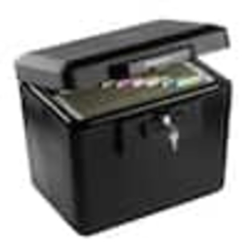 SentrySafe 0.61 cu. ft. Fireproof Safe File Box 1170