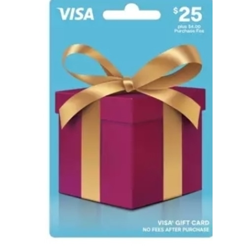 "visa gift card"