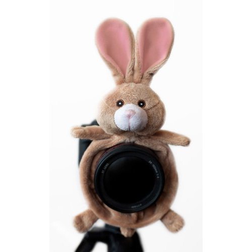 BUN001 Camera Lens Stand (Brown)