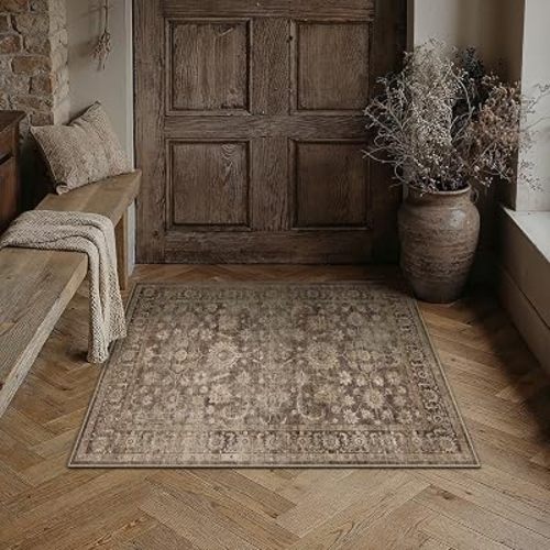Brown Area Rugs 2x3 Entryway Washable Rug Carpet