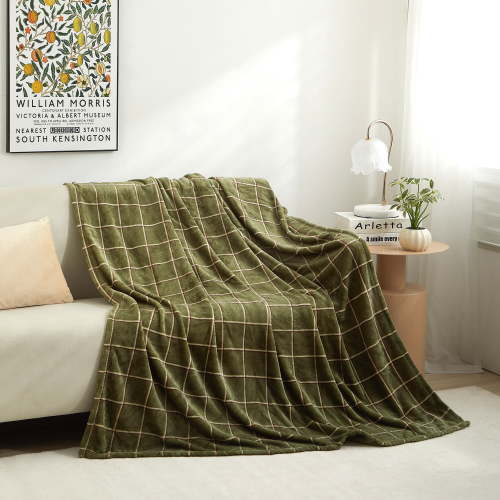 Mainstays Plush Throw Blanket, Green Plaid, 50 in x 60 in