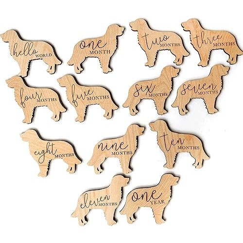 Golden Retriever Baby Milestone Plaques 7pcs 5in, Dog Nursery Gift, Custom Newborn Gift