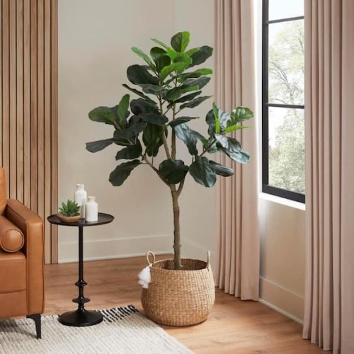 5ft Faux Fiddle Leaf Fig Tree in White Pot