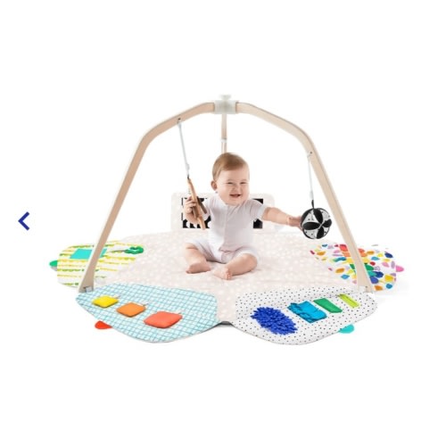 The Play Gym - Lovevery Pre-Loved