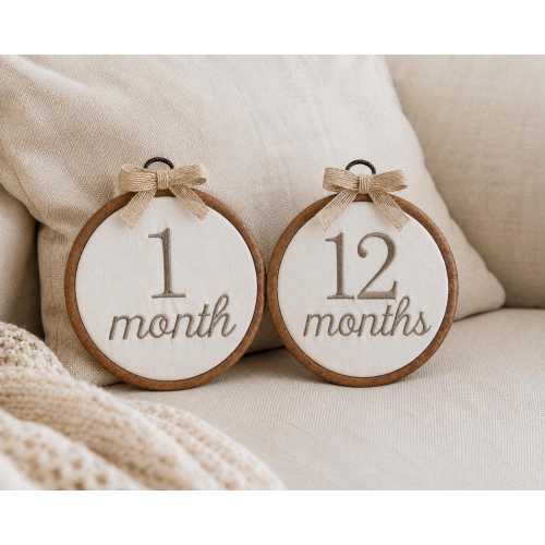 First Year Milestone Hoops | Embroidered Baby Milestone Hoops | Monthly Signs | Baby Milestone