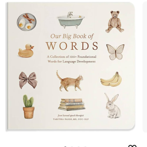 Our Big Book of First Words: A Collection of 100+ Foundational Words for Language Development (Tabitha Paige Children's Book Series)